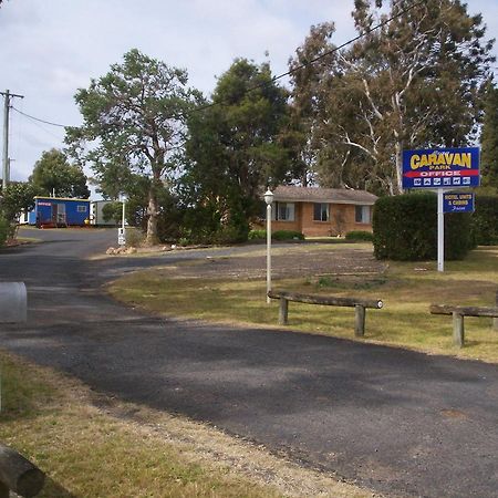 Bega Caravan Park מראה חיצוני תמונה